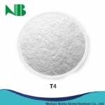 L-Thyroxine (T4)