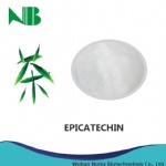 Epicatechin (EC) 90%  95%  98% HPLC